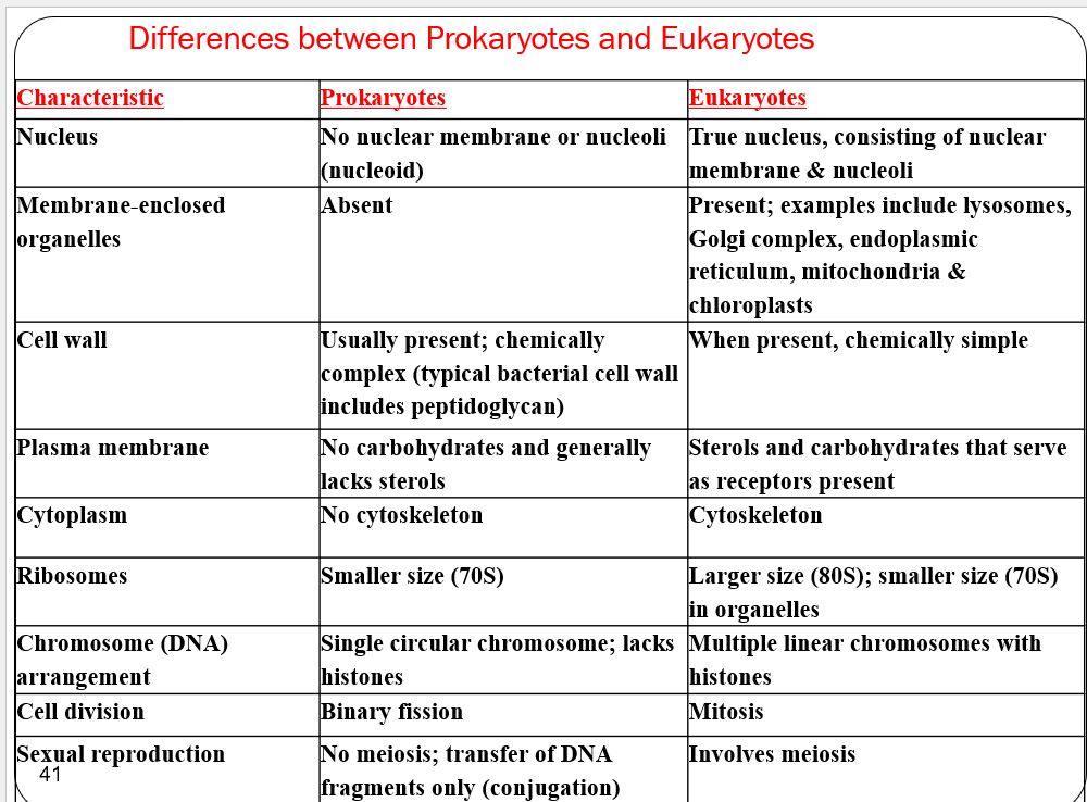 Differences between Prokaryotes and Eukaryotes.